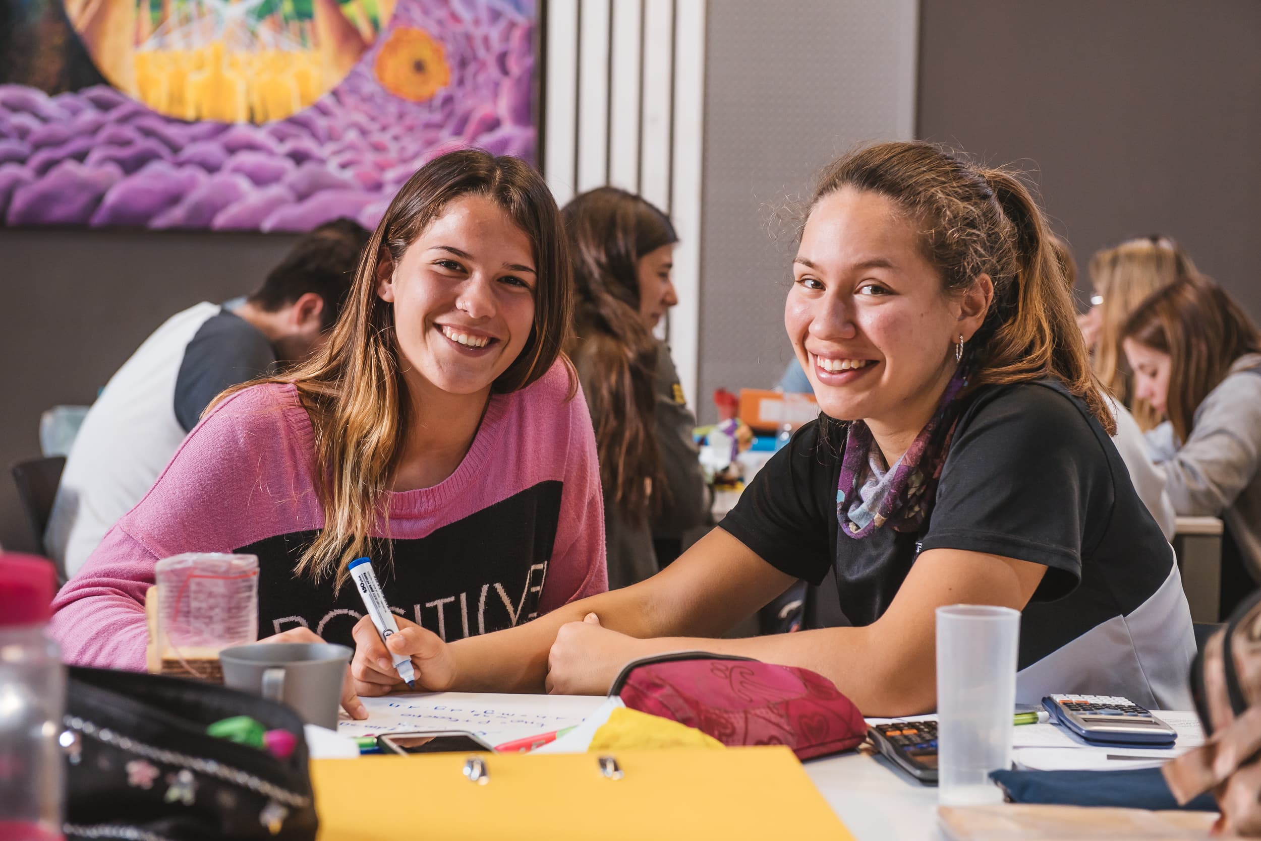 Imagen de galería 8