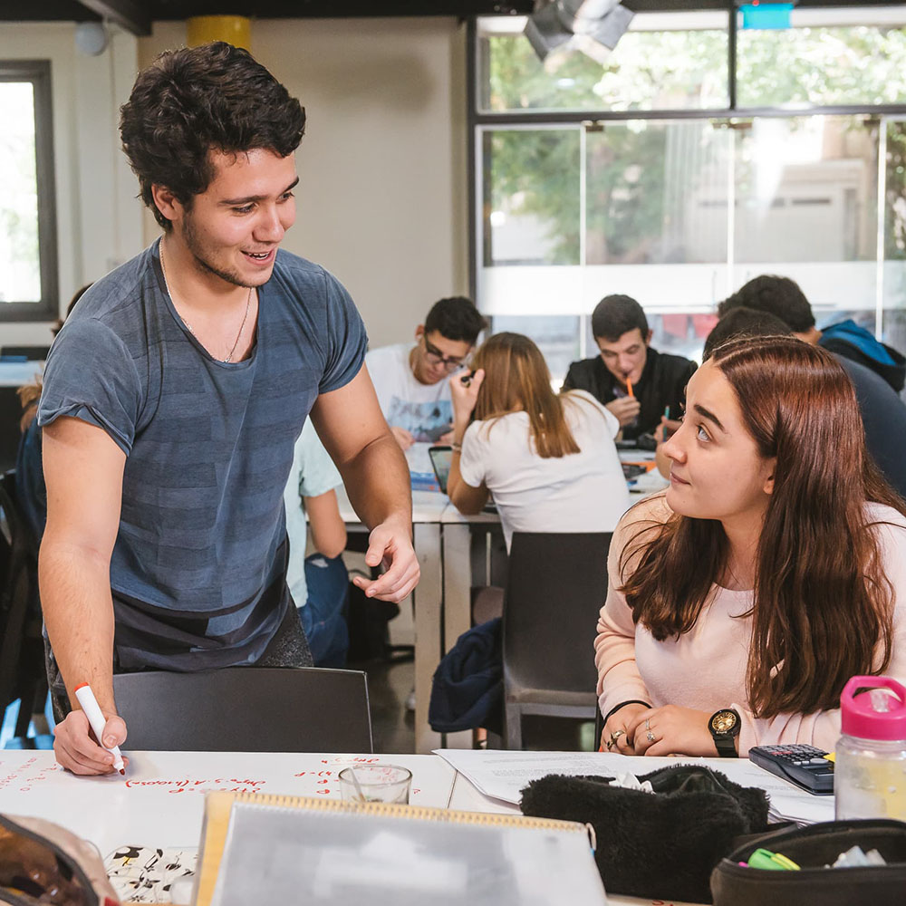 Estudiantes trabajando en equipo
